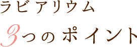 ラビアリウム3つのポイント